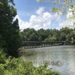 Banister Lake, Its Past and Future Pathways