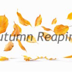 Autumn Reaping