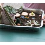 Getting Your Hands Dirty and Doing Something Worthwhile - Southside Master Gardeners