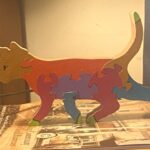 The Cat Ladies of Halifax