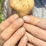 Where the Hope of Healing the Soul and Soil Come Together - Good Hope Equestrian & Regenerative Farm, Inc